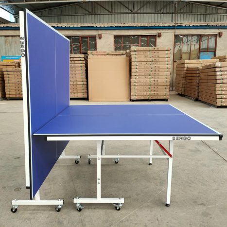 שולחן טניס שולחן חוץ – Table tennis Israel